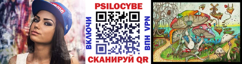 Купить  Кимры  Галлюциногенные грибы MAGIC MUSHROOMS 